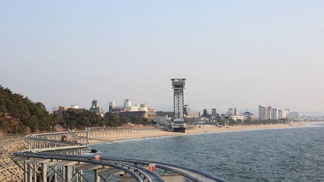 '긴급 속보, 무려 10년 만의 발견입니다..' 몸 길이 약 50cm, 몇 분 전 멸종위기 동물 포착된 우리나라 지역