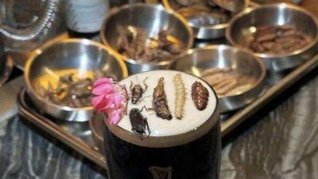 곤충을 마신다?…방콕에 '곤충 바' 등장