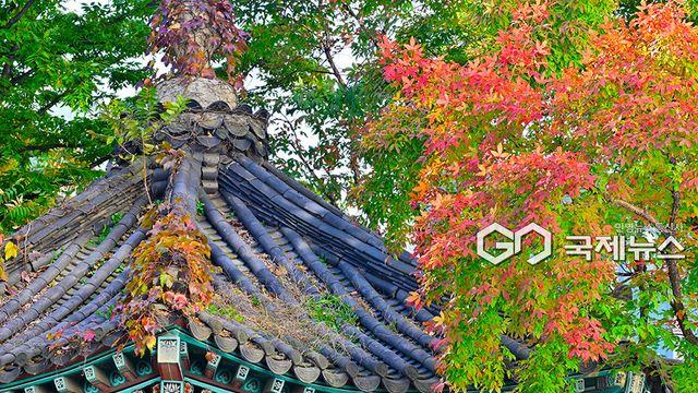 날씨, 서울아침 6도 