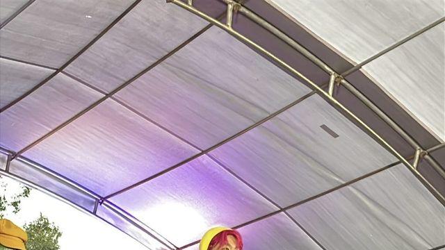 대만 장제스 증손자 근황