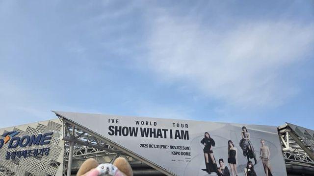 3일간 너무 신났던 단콘 후기