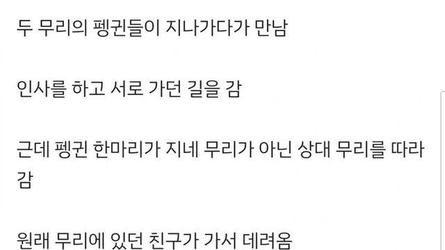 펭귄 두 무리가 만났는데 문제가 생김 