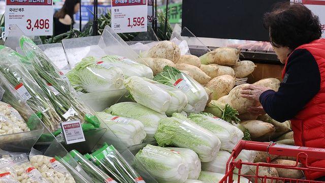 농식품부, 배추·무 4만7천t 공급…500억원 할인 예산 투입