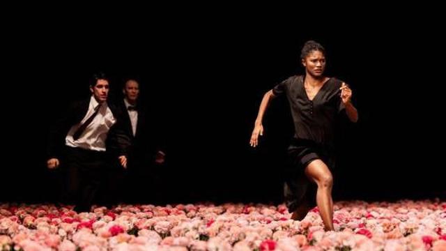 피나 바우쉬의 유산, 다시 피어나다…25년 만에 돌아온 '카네이션'