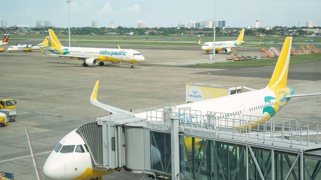 [여행honey] 우리가 아는 세부, 모르는 세부 ③ 세부퍼시픽항공 '가심비'비행