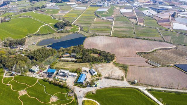 '올해도 어김없이 발견..' 매년 11월마다 우리나라 작은 시골 마을에서 포착되고 있는 '1m' 멸종위기 동물