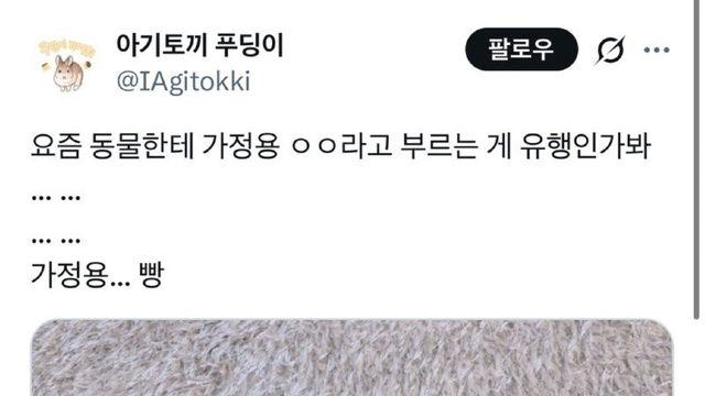 요즘 키우는 동물을 