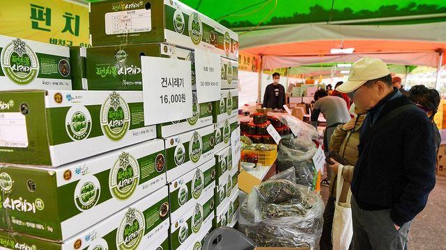 양구군 3대 대표 축제, 모두 역대 최다 방문객 기록