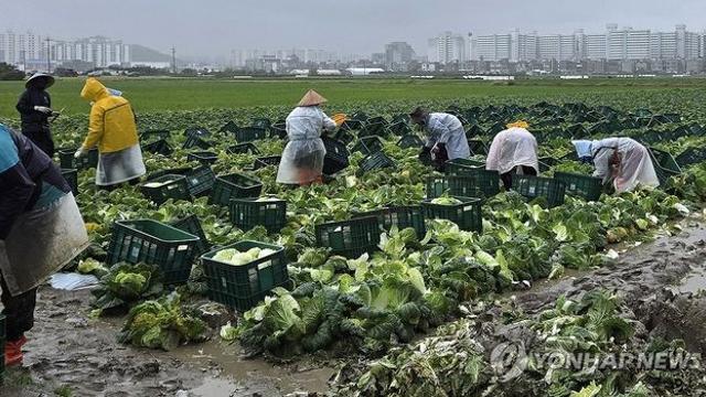 강원 영동지역, 10월 한 달 20일 넘게 비…강수일수 1위 경신