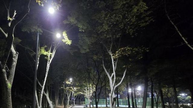 광명시, 시민체육관 야간시간 이용환경 개선…산책로 등 조명등 교체·확대 설치