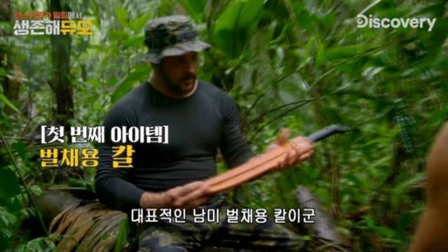 정글 생존 필수템.