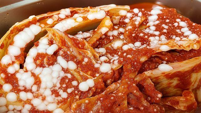 냉장고 속 김치서 발견된 하얀색 '이것', 곰팡이인줄 알았는데…'대반전'