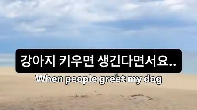 강아지를 키워 볼까요??