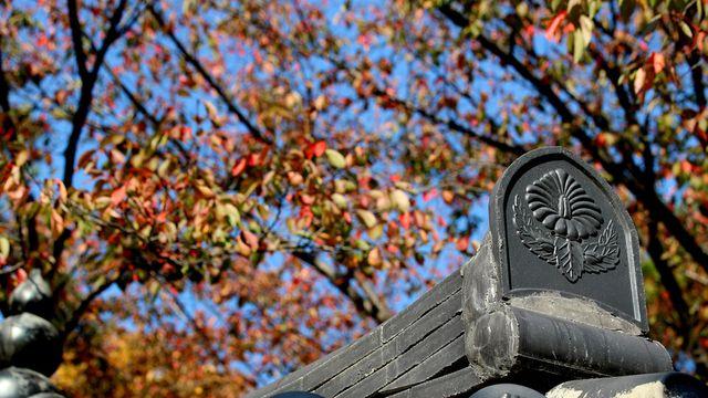 <오늘의 날씨> 전국 종일 맑고 선선⋯일교차 15도 내외