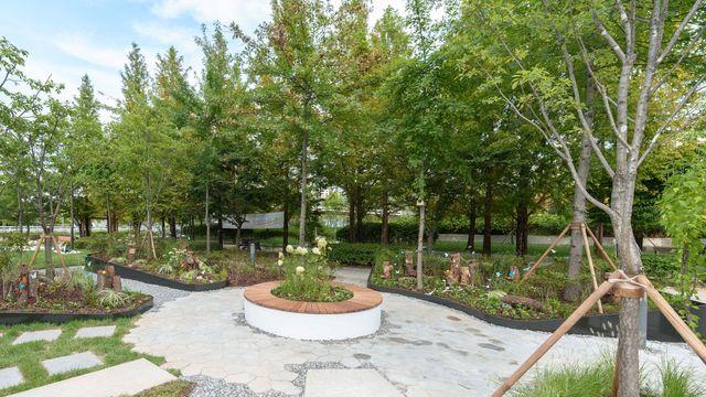 세종시, 산림청 주최 정원 프로젝트서 '대상'