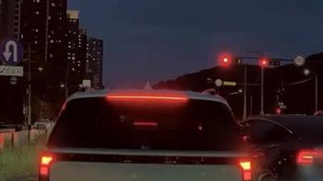 테슬라 V 카니발