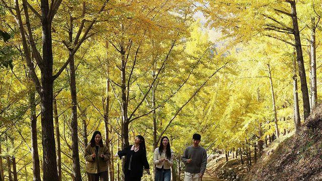 수요일 완연한 가을날…내륙 일부 아침기온 영하·짙은 안개