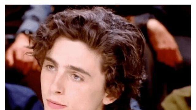 머리빨이었다는 티모시 샬라메