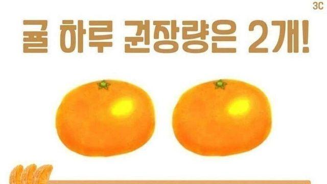 다소 충격적인 귤 하루 권장량 