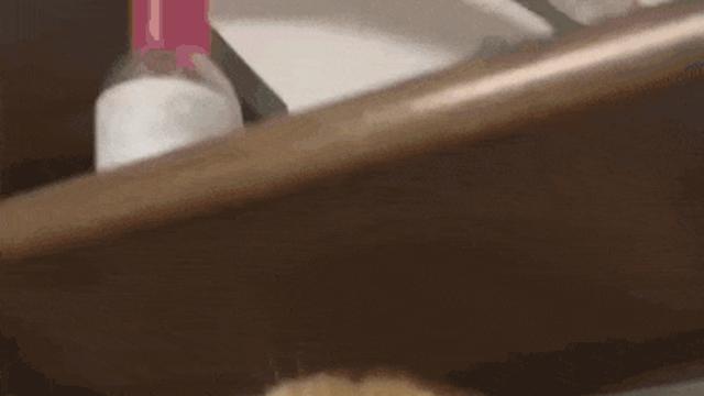 고양이를 화나게 하면 안되는 이유