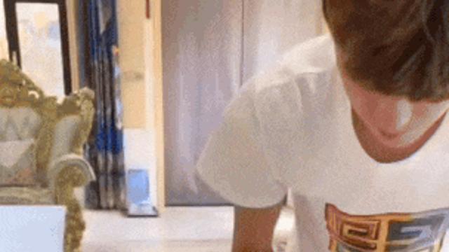 리트리버의 실체