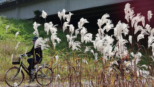 당분간 큰 추위 없지만 일교차 15도 안팎 커…오늘 낮 16∼22도