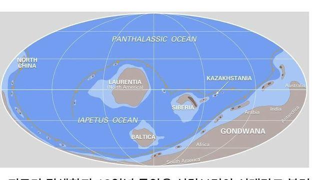 지구 역사상 가장 큰 동물