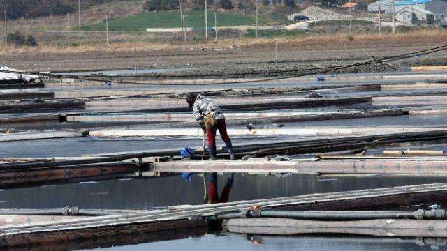 검찰, 지적장애인 ‘노예착취’한 염전 업주에 영장 청구