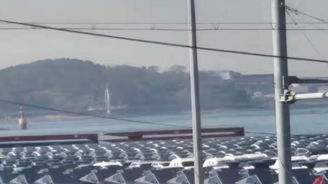 테슬라 사이버트럭, 국내 초기 물량 입항. 모델 Y 이은 날개 되나?