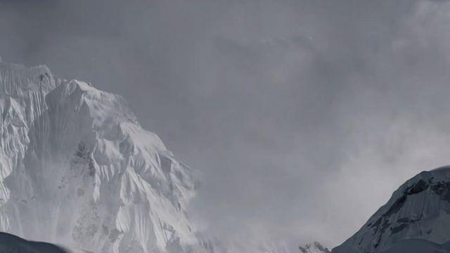 해발 5486m에서 포착된 표범 