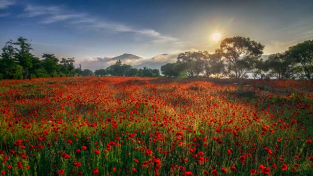 남양주, 자연 속에서 즐기는 힐링과 다채롭고 즐거운 여행