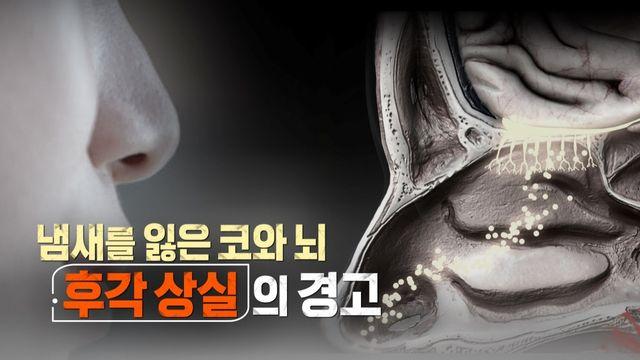 KBS1 생로병사의 비밀, '냄새를 잃은 코와 뇌 - 후각 상실의 경고' 편