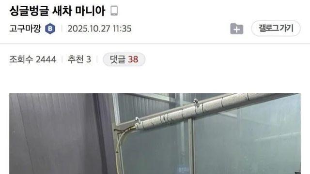 싱글벙글 새차 마니아