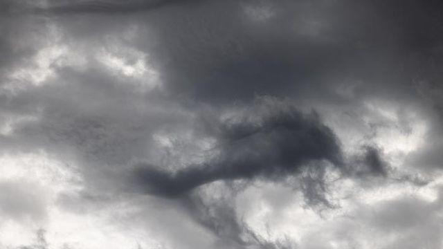 [사이테크+] 청정연료의 배신?…