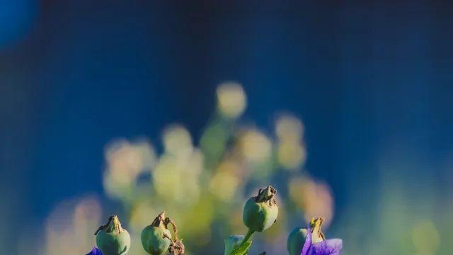 RF24-240으로 찍었던 밀양25장