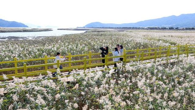 광주·전남 한낮 23도 포근…출근길 짙은 안개 '주의'
