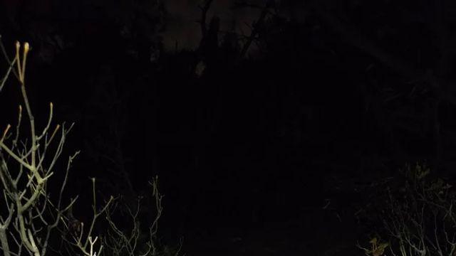 관악산 다녀왔습니다.