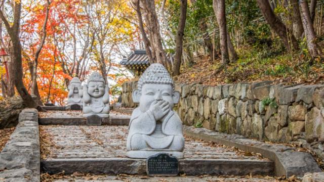 가을 바람과 함께하는 여수 여행, 고즈넉한 사찰과 활기찬 거리