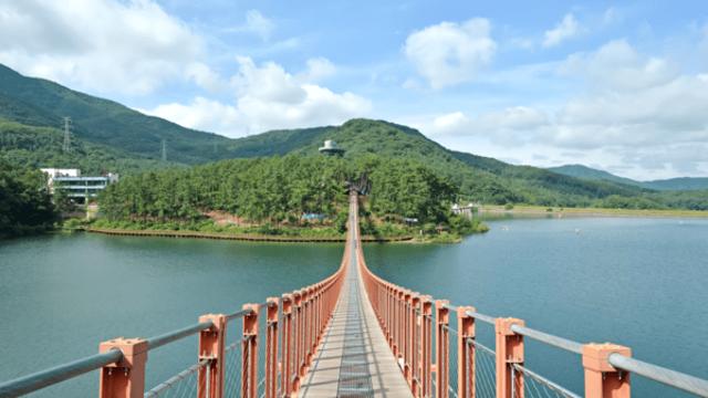 파주 출판도시와 마장호수, 가을빛 물든 풍경 속에서 즐기는 감성 여행