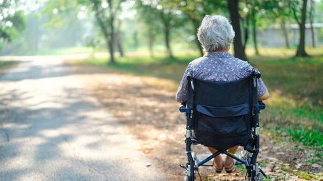 당뇨병 치료ㆍ파킨슨병 억제 동시에...DPP-4억제제 효과의 재발견