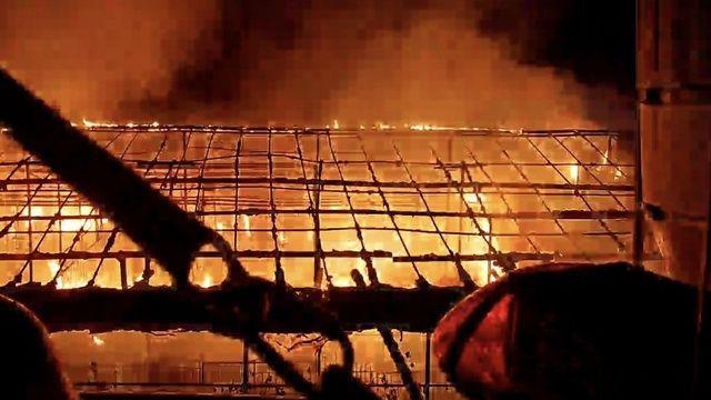 용인 돈사에 불…돼지 200여마리 폐사