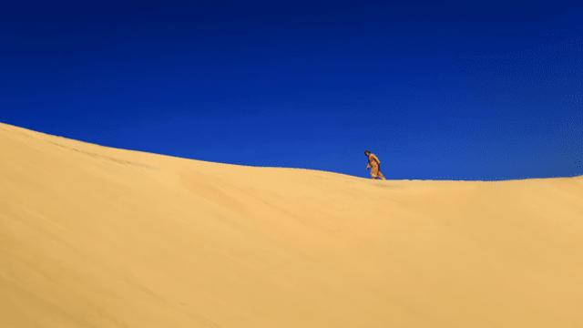 충남 태안, 신비의 해안사구와 수목원이  그린  풍경 여행