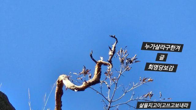 [보감과의 동행159]  누가그리살래