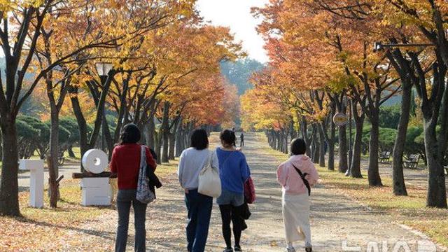 전북 동부 오전까지 안개…낮 19~22도 '맑다 구름'