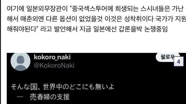 일본 : “세상에 매춘부를 지원해주는 나라가 어딨냐?”