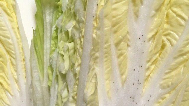 곰팡이 인줄 알았던 그 까만점의 정체