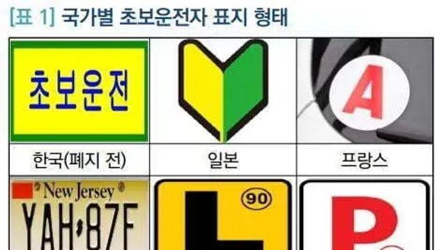 초보운전 스티커,,