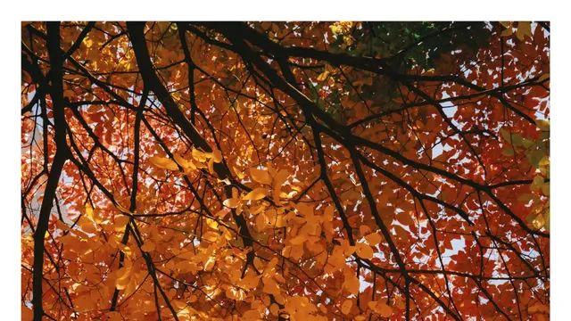 이런 날 사진 안찍는건 죄악 아님..?