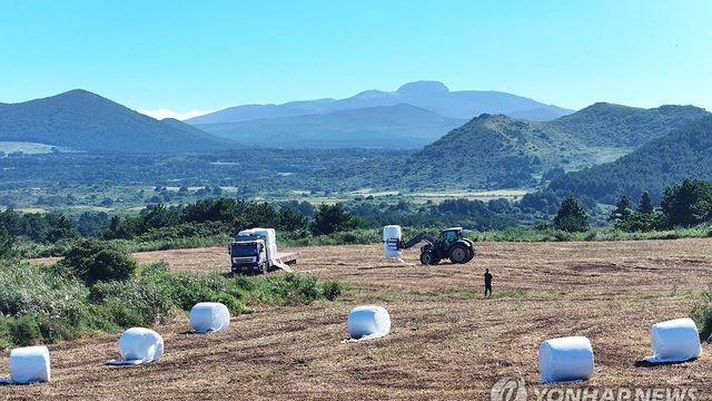 제주 대체로 맑은 날씨…낮 최고 21∼24도