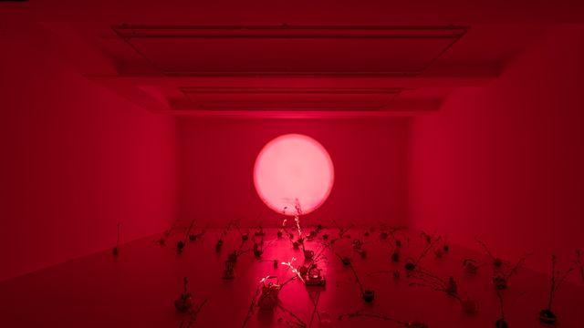 시각·청각·후각·촉각 모두 전하는 니키타 게일의 주전자